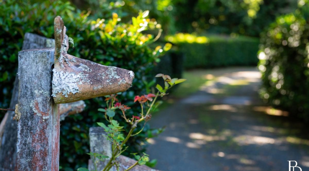 WATTAMOLLA, NSW 2535 AUS