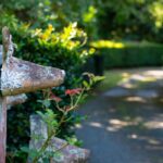 WATTAMOLLA, NSW 2535 AUS