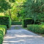 WATTAMOLLA, NSW 2535 AUS