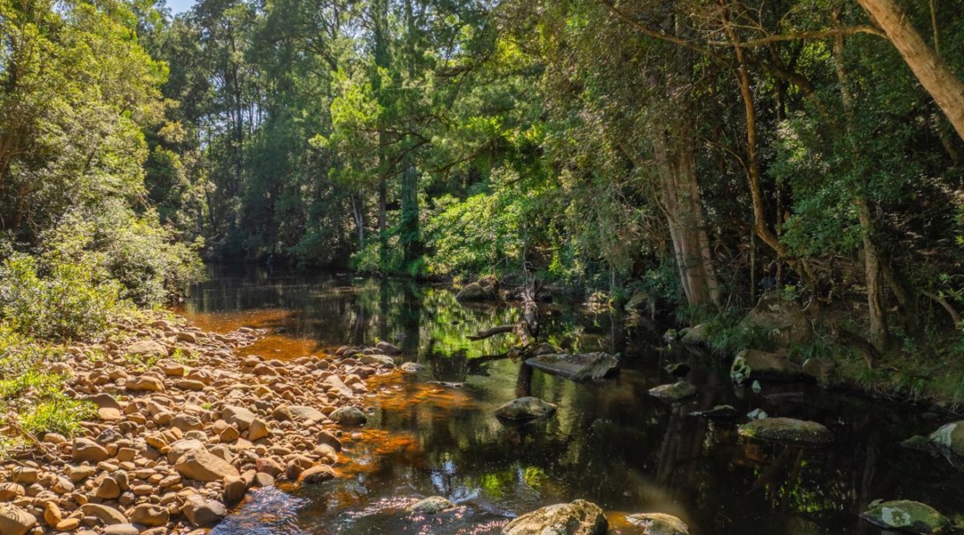 WATTAMOLLA, NSW 2535 AUS