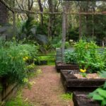 332 Emerys Road, TAPITALLEE, NSW 2540 AUS