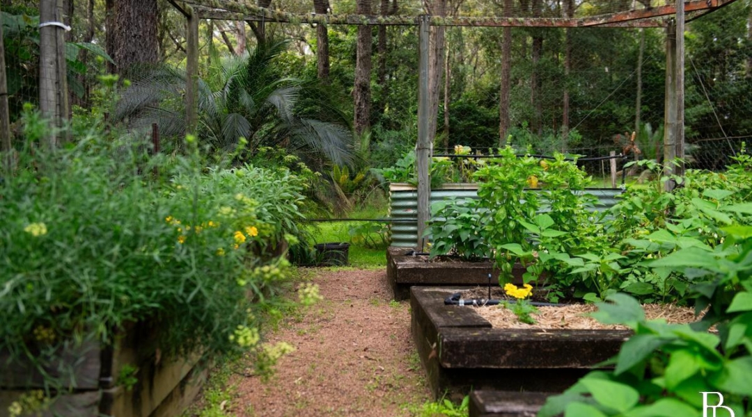 332 Emerys Road, TAPITALLEE, NSW 2540 AUS