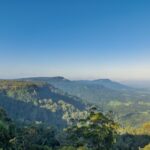 332 Emerys Road, TAPITALLEE, NSW 2540 AUS