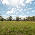 89 Tea Tree Lane, NOWRA HILL, NSW 2540 AUS