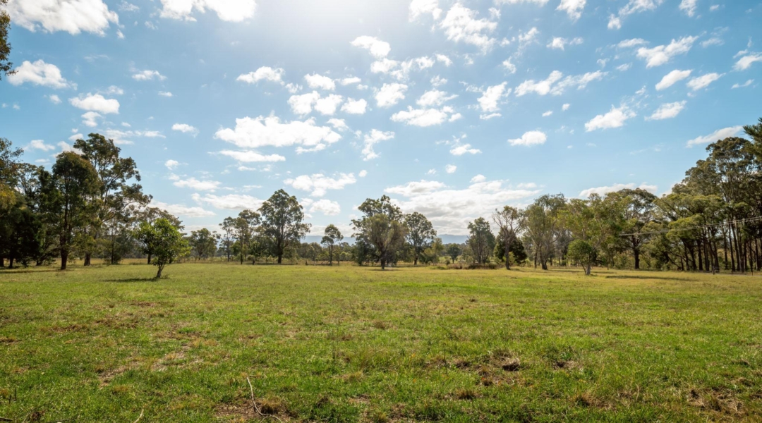 89 Tea Tree Lane, NOWRA HILL, NSW 2540 AUS