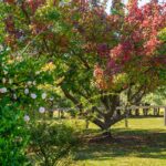 89 Tea Tree Lane, NOWRA HILL, NSW 2540 AUS