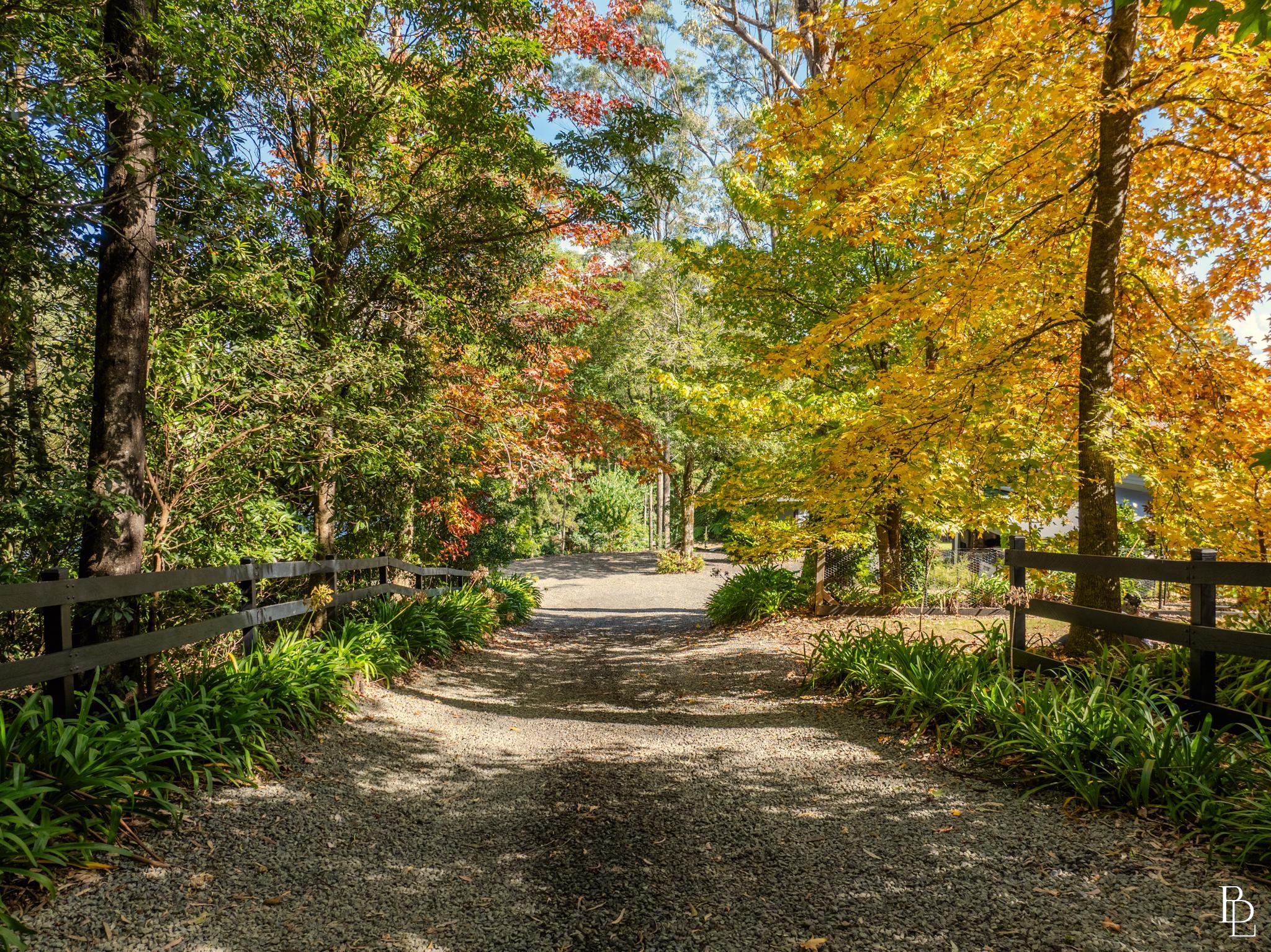 1011A Kangaroo Valley Road, Bellawongarah - Thumbnail 4