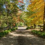 1011A Kangaroo Valley Road, BELLAWONGARAH, NSW 2535 AUS