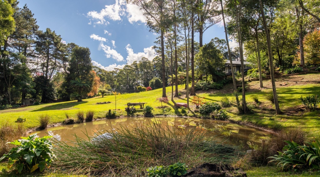 1011A Kangaroo Valley Road, BELLAWONGARAH, NSW 2535 AUS