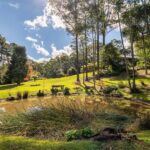 1011A Kangaroo Valley Road, BELLAWONGARAH, NSW 2535 AUS