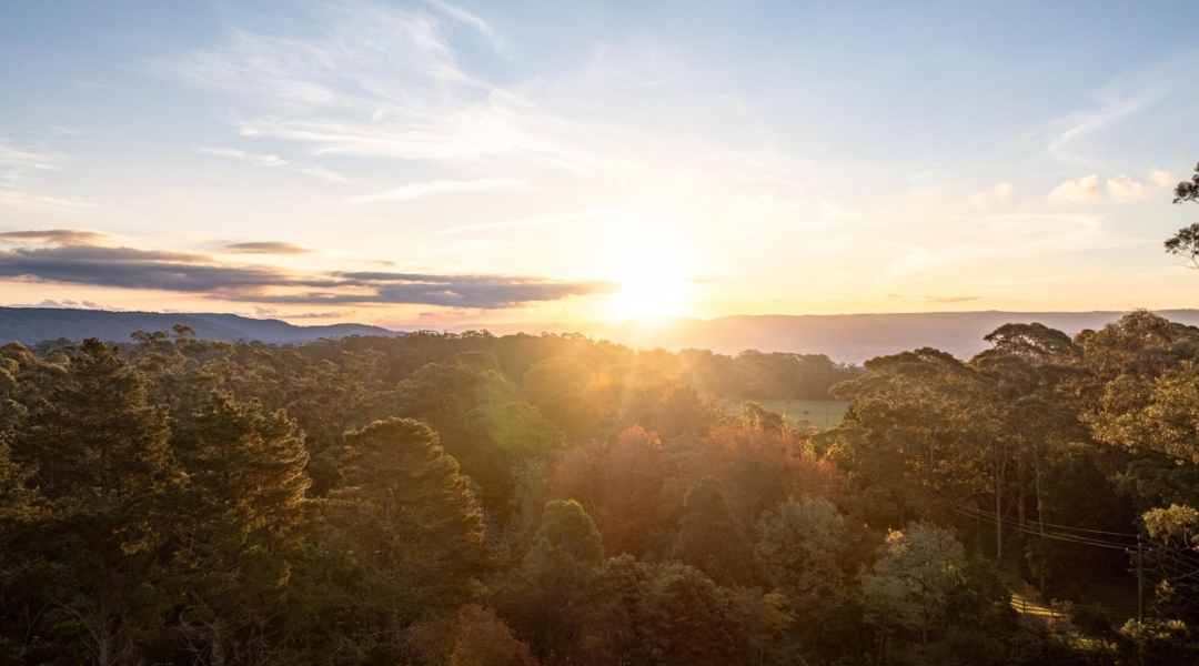 1011A Kangaroo Valley Road, BELLAWONGARAH, NSW 2535 AUS