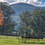 65D Glenmurray Road, KANGAROO VALLEY, NSW 2577 AUS
