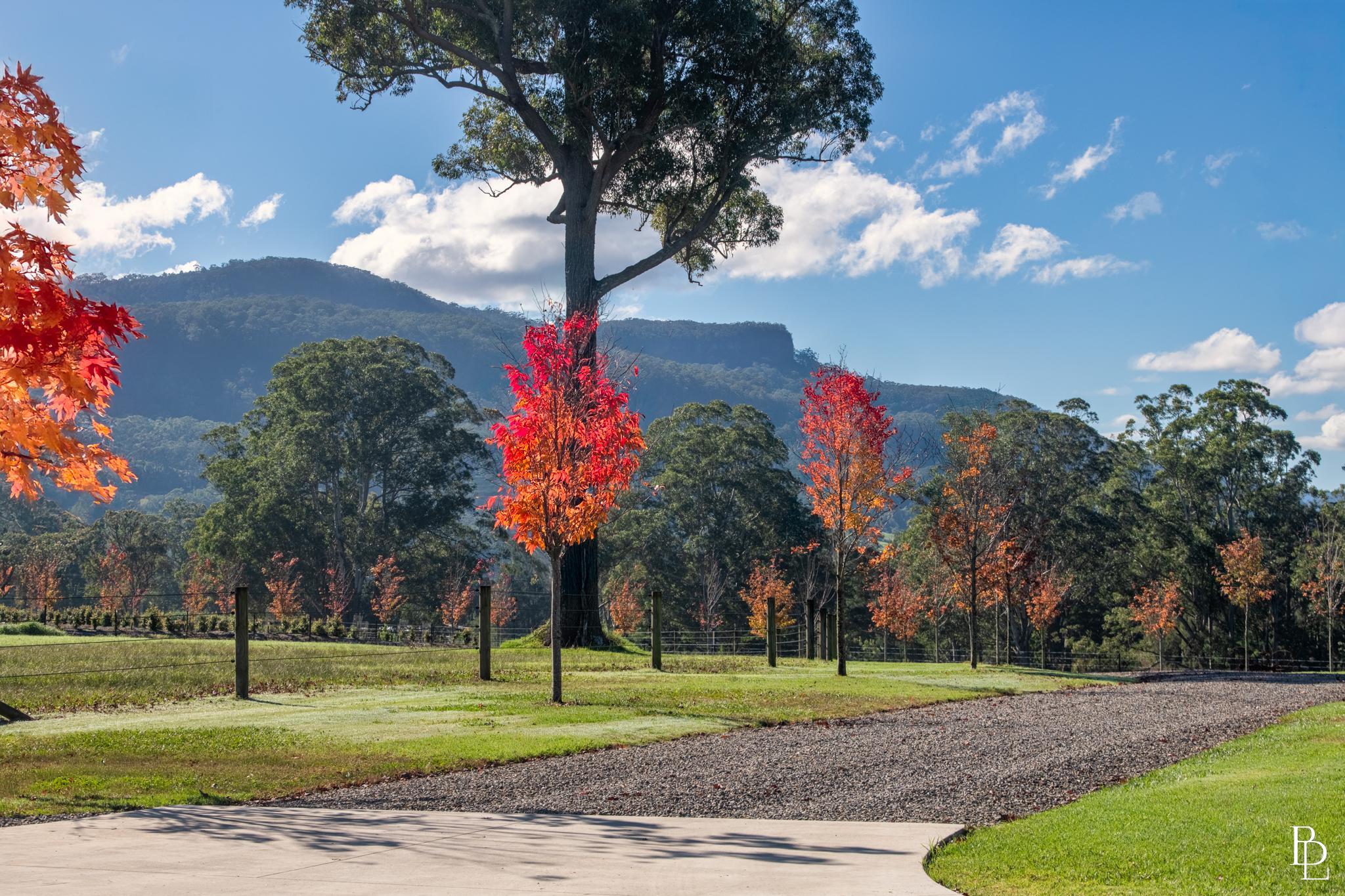 65D Glenmurray Road, Kangaroo Valley - Thumbnail 4