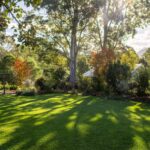 6 Rectory Park Way, KANGAROO VALLEY, NSW 2577 AUS