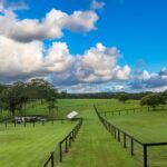 11 Wire Lane, BERRY, NSW 2535 AUS