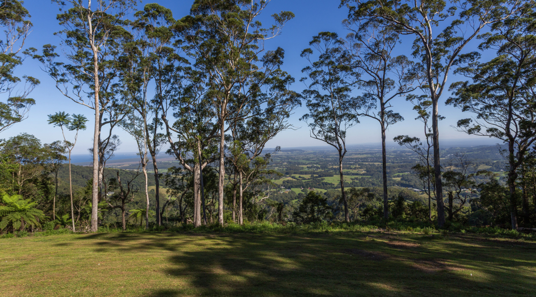 BROUGHTON VALE, NSW 2535 AUS