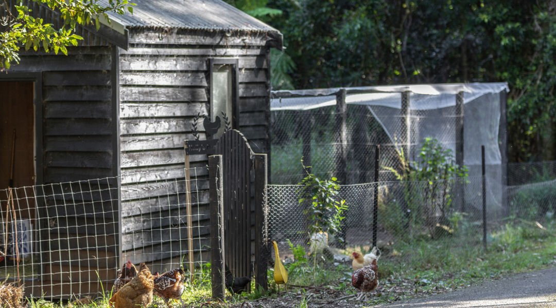 BROUGHTON VALE, NSW 2535 AUS