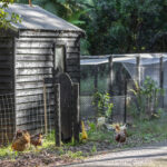 BROUGHTON VALE, NSW 2535 AUS