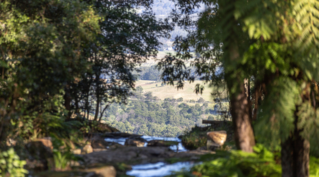 BROUGHTON VALE, NSW 2535 AUS