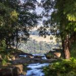 BROUGHTON VALE, NSW 2535 AUS