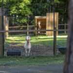 BROUGHTON VALE, NSW 2535 AUS