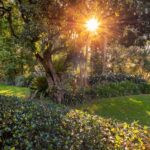 148 Kangaroo Valley Road, BERRY, NSW 2535 AUS