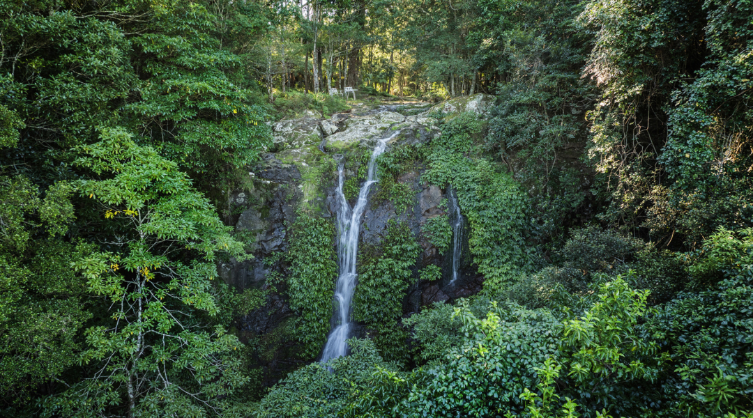 BROUGHTON VALE, NSW 2535 AUS