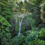 BROUGHTON VALE, NSW 2535 AUS