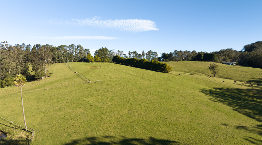 205 Tourist Road, BEAUMONT, NSW 2577 AUS