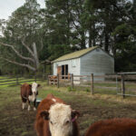 205 Tourist Road, BEAUMONT, NSW 2577 AUS