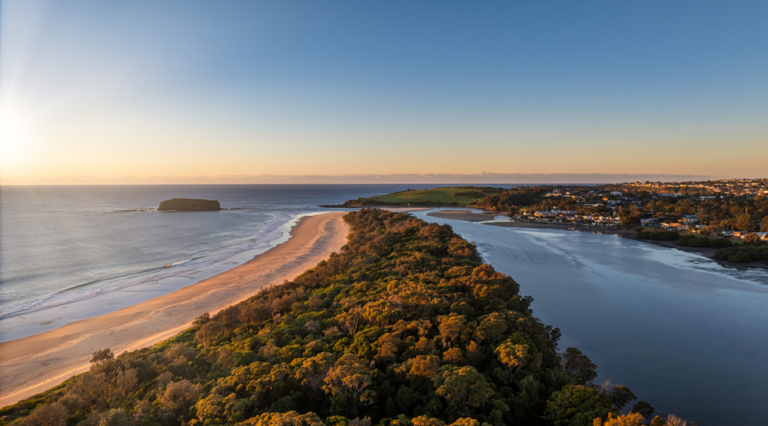 16 Sanctuary Place, MINNAMURRA, NSW 2533 AUS