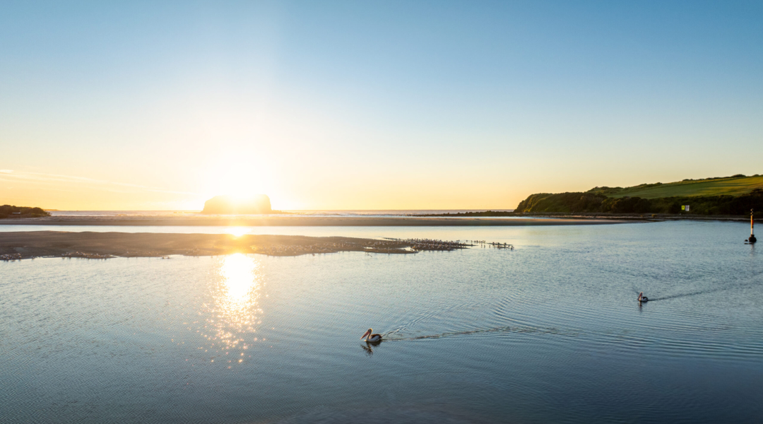 16 Sanctuary Place, MINNAMURRA, NSW 2533 AUS