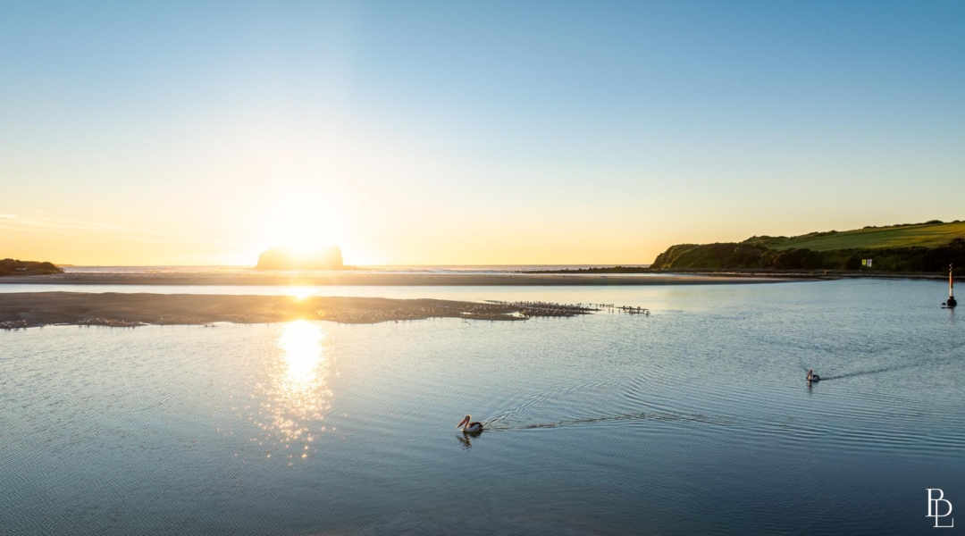 16 Sanctuary Place, MINNAMURRA, NSW 2533 AUS
