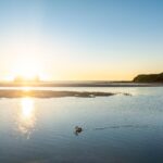 16 Sanctuary Place, MINNAMURRA, NSW 2533 AUS