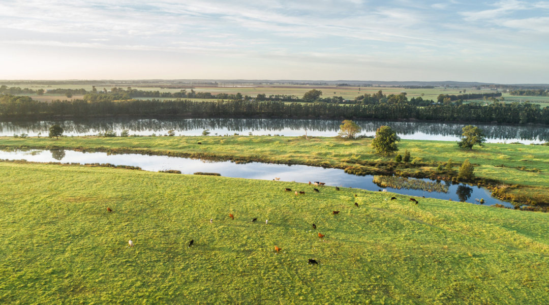 Lot 1, 2, 3 & 4 Burraga Island (DP 1184790), TERARA, NSW 2540 AUS