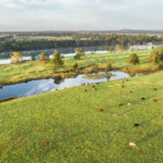 Lot 1, 2, 3 & 4 Burraga Island (DP 1184790), TERARA, NSW 2540 AUS