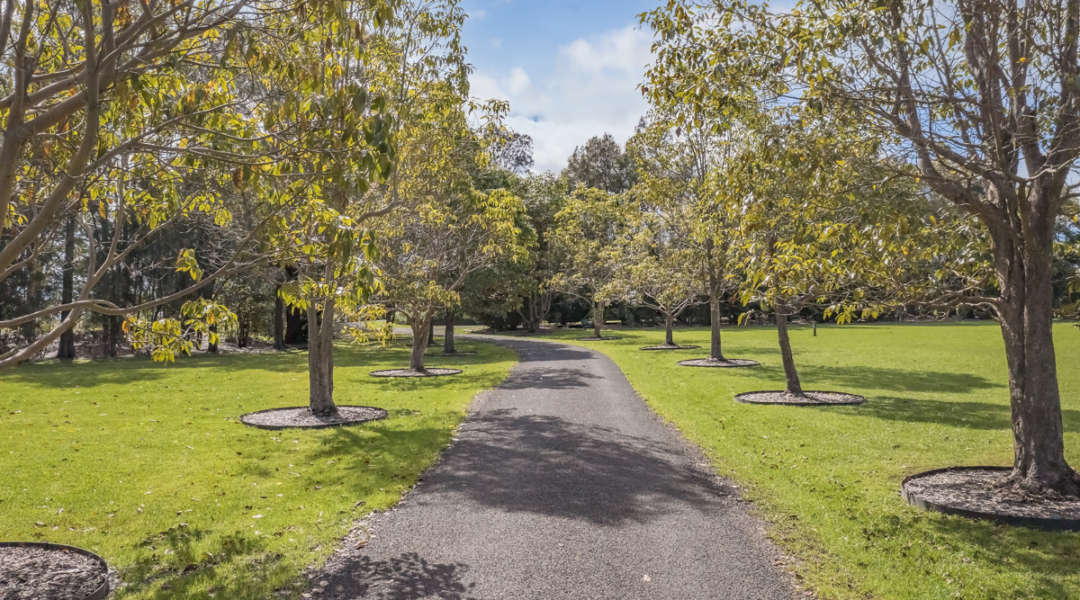 252 Coolangatta Road, BERRY, NSW 2535 AUS