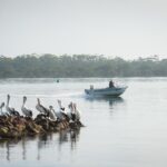 9 Greenwell Point Road, GREENWELL POINT, NSW 2540 AUS