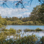 9 Greenwell Point Road, GREENWELL POINT, NSW 2540 AUS