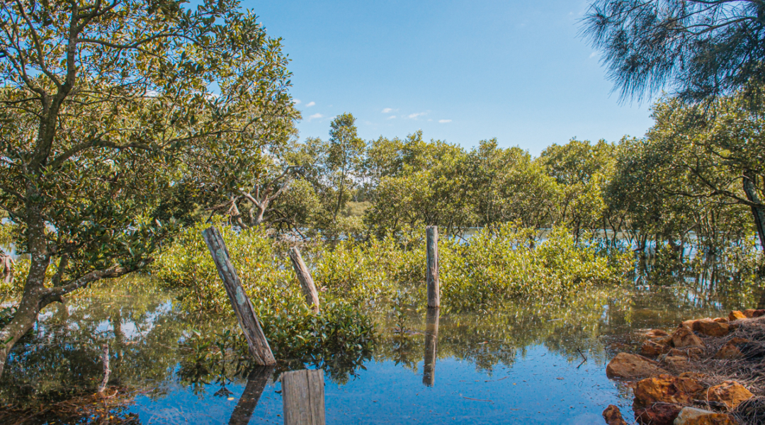 9 Greenwell Point Road, GREENWELL POINT, NSW 2540 AUS