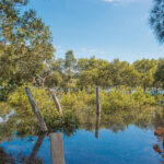 9 Greenwell Point Road, GREENWELL POINT, NSW 2540 AUS