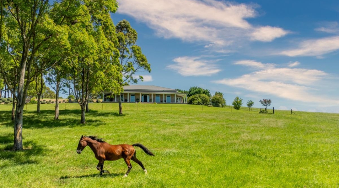 490 Back Forest Road, FAR MEADOW, NSW 2535 AUS