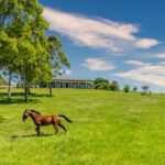 490 Back Forest Road, FAR MEADOW, NSW 2535 AUS