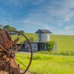 490 Back Forest Road, FAR MEADOW, NSW 2535 AUS