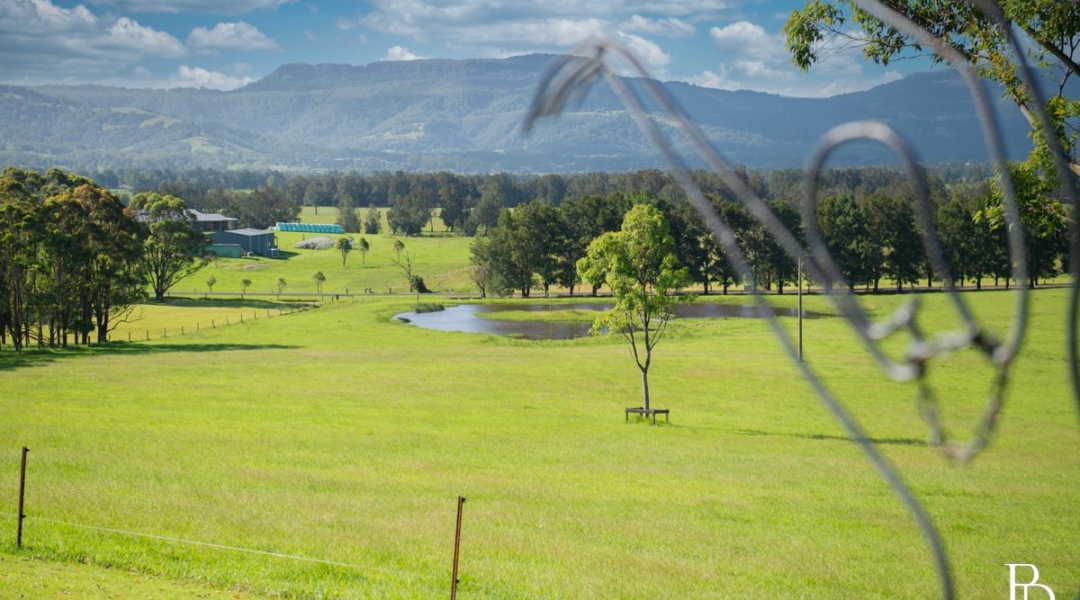 490 Back Forest Road, FAR MEADOW, NSW 2535 AUS