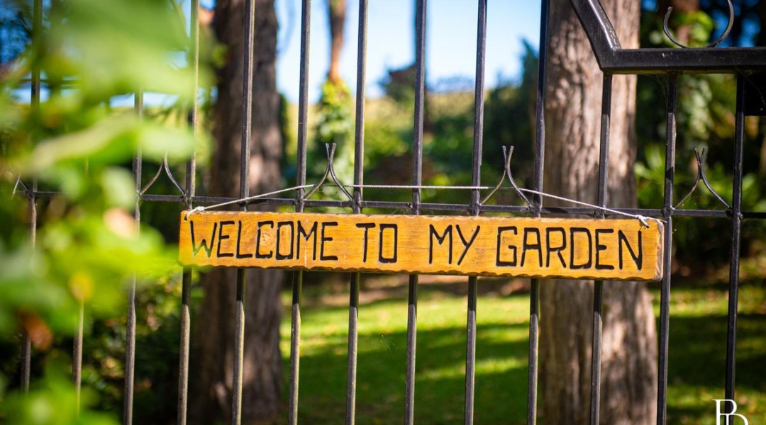 490 Back Forest Road, FAR MEADOW, NSW 2535 AUS