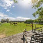 16 Oakbanks Place, WORRIGEE, NSW 2540 AUS