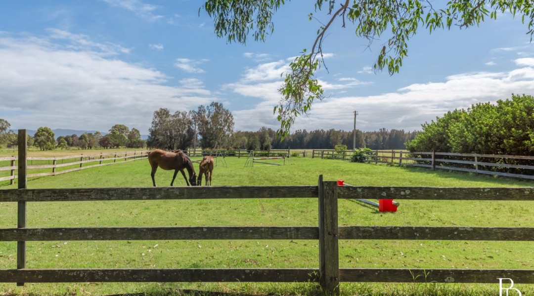 16 Oakbanks Place, WORRIGEE, NSW 2540 AUS
