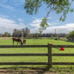 16 Oakbanks Place, WORRIGEE, NSW 2540 AUS