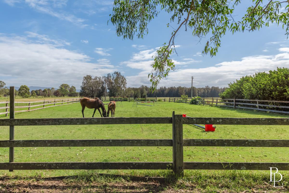 16 Oakbanks Place, Worrigee - Thumbnail 6